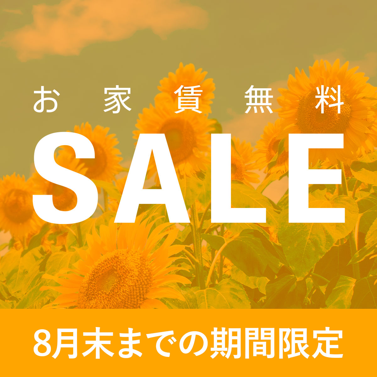 お家賃無料SLAE